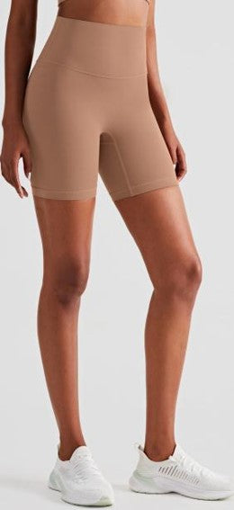 Taya High Waist Biker Shorts II